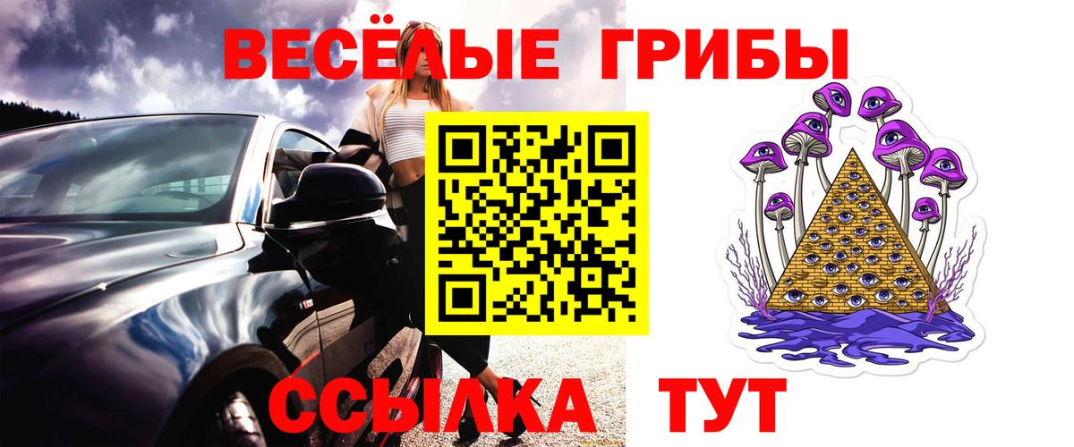 Медногорск  Галлюциногенные грибы Cubensis  Вход с VPN 